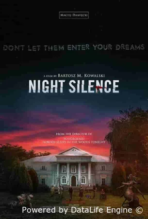 Ночная тишина