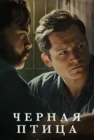 Чёрная птица