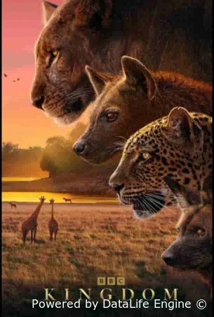 Царство животных